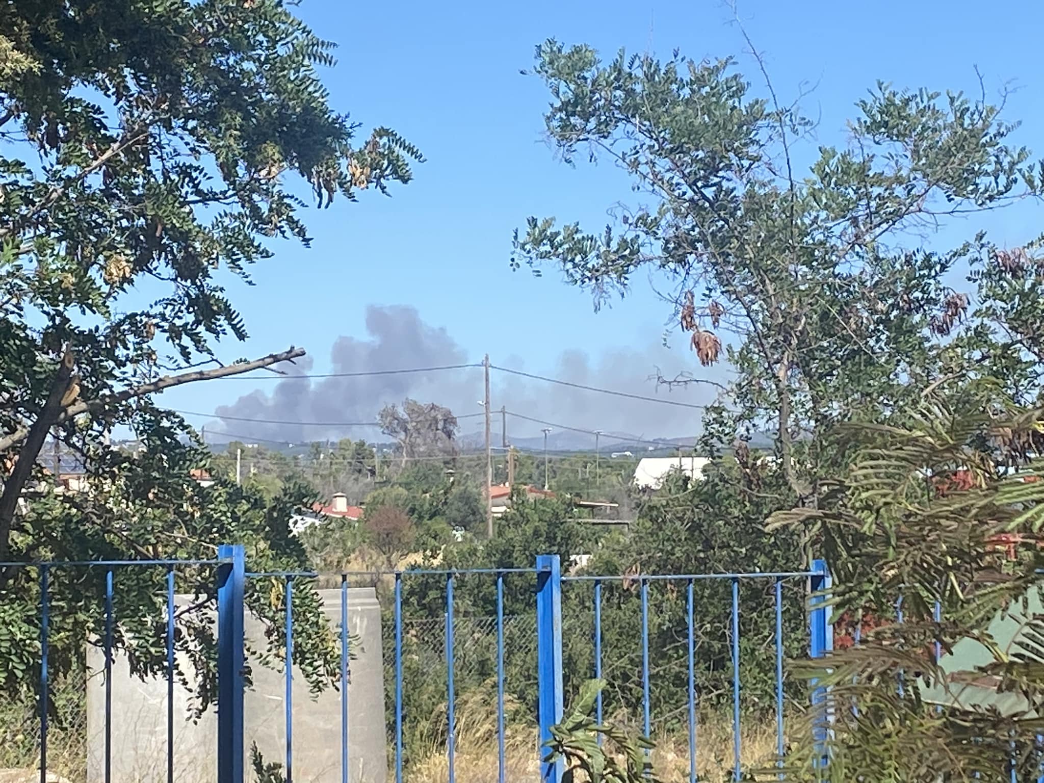 Πυρκαγιά σε δασική έκταση στην περιοχή της Σταμάτας Αττικής