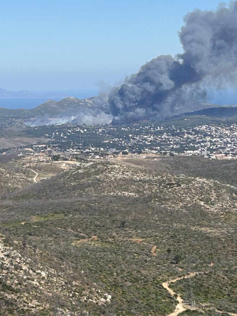 Πυρκαγιά σε δασική έκταση στην περιοχή της Σταμάτας Αττικής