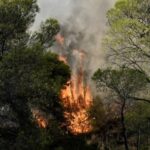Πυρκαγιά σε χαμηλή βλάστηση στην περιοχή Άγιος Θωμάς Λάρισας - Ενεργοποίηση 112