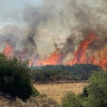 Πυρκαγιά σε χαμηλή βλάστηση στην περιοχή Λαγκαδά Θεσσαλονίκης