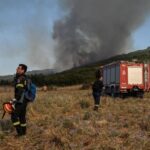 Πυρκαγιά σε χαμηλή βλάστηση στην περιοχή Δάρδιζα Αργολίδας