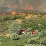 Πυρκαγιά σε χαμηλή βλάστηση στην περιοχή δρυμός στο Ωραιόκαστρο Θεσσαλονίκης