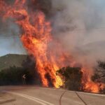 Πυρκαγιά σε δασική έκταση στην περιοχή Αλιμάκι Μεσσηνίας