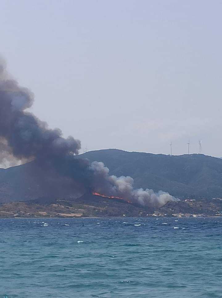 Πυρκαγιά σε δασική έκταση στον Πλατανίτη Ναυπακτίας