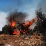 Άμεσα τέθηκε υπό μερικό έλεγχο πυρκαγιά σε δασική έκταση στην περιοχή Κοίλα Έβρου