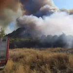 Πυρκαγιά σε γεωργική έκταση στην Αλίαρτο Βοιωτίας