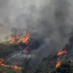 Άμεσα τέθηκε υπό μερικό έλεγχο πυρκαγιά σε γεωργική έκταση στην περιοχή Πισσώνας Ευβοίας