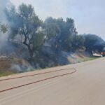 Πυρκαγιά σε αγροτοδασική έκταση στην περιοχή Μπόχαλη Ζακύνθου