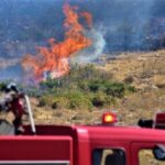 Πυρκαγιά σε αγροτική έκταση στο Νεοχωράκι Βοιωτίας