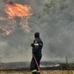 Πυρκαγιά σε χαμηλή βλάστηση στην περιοχή Αετόλοφος Λάρισας