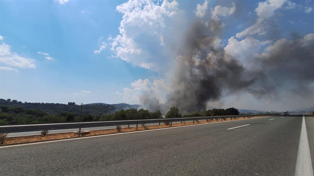 Πυρκαγιά σε χαμηλή βλάστηση στην περιοχή Οχθιά Αιτωλοακαρνανίας