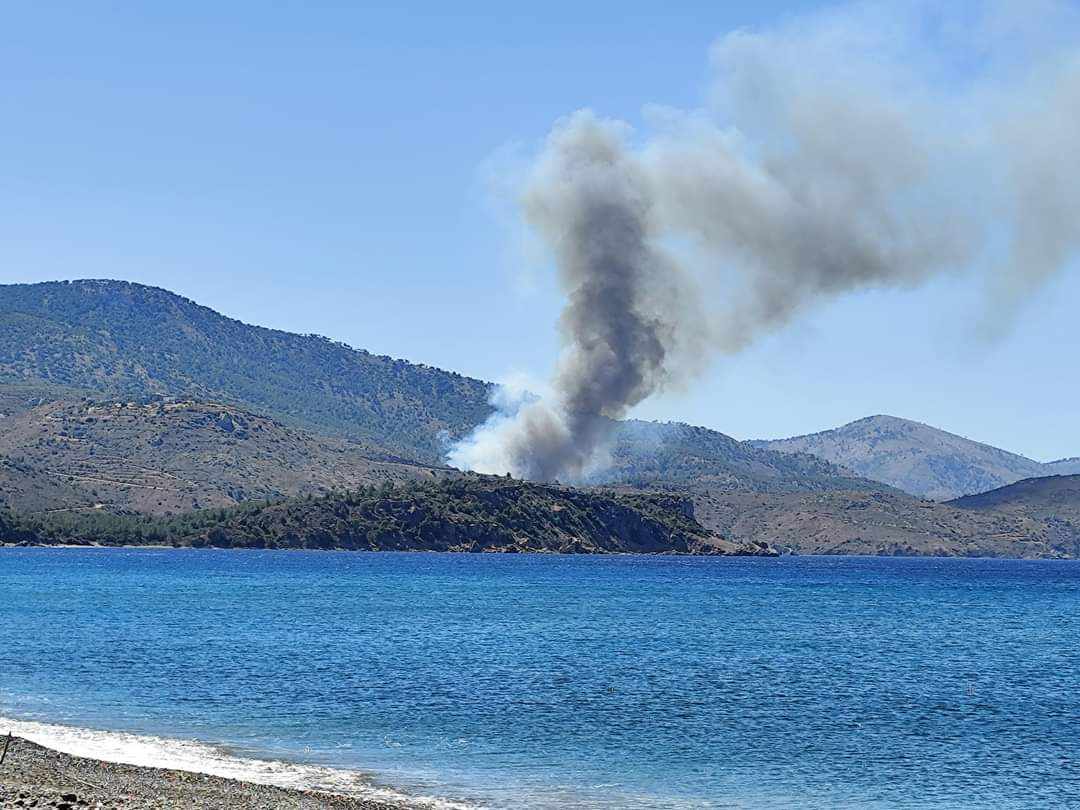 Πυρκαγιά σε δασική έκταση στην περιοχή Σιδηρούντα στο νησί της Χίου