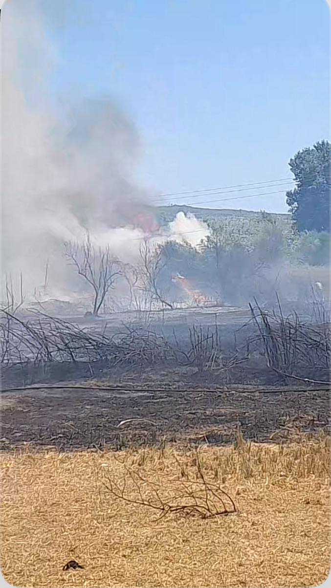 Πυρκαγιά σε χαμηλή βλάστηση στην περιοχή Αριοχώρι Μεσσηνίας