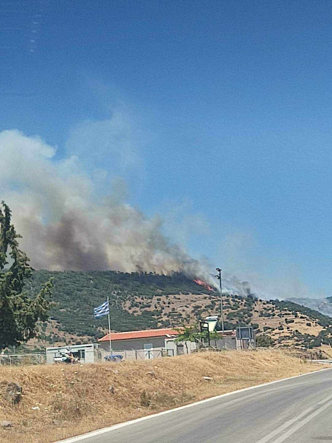 Πυρκαγιά σε δασική έκταση στην περιοχή Μανταμάδος Λέσβου