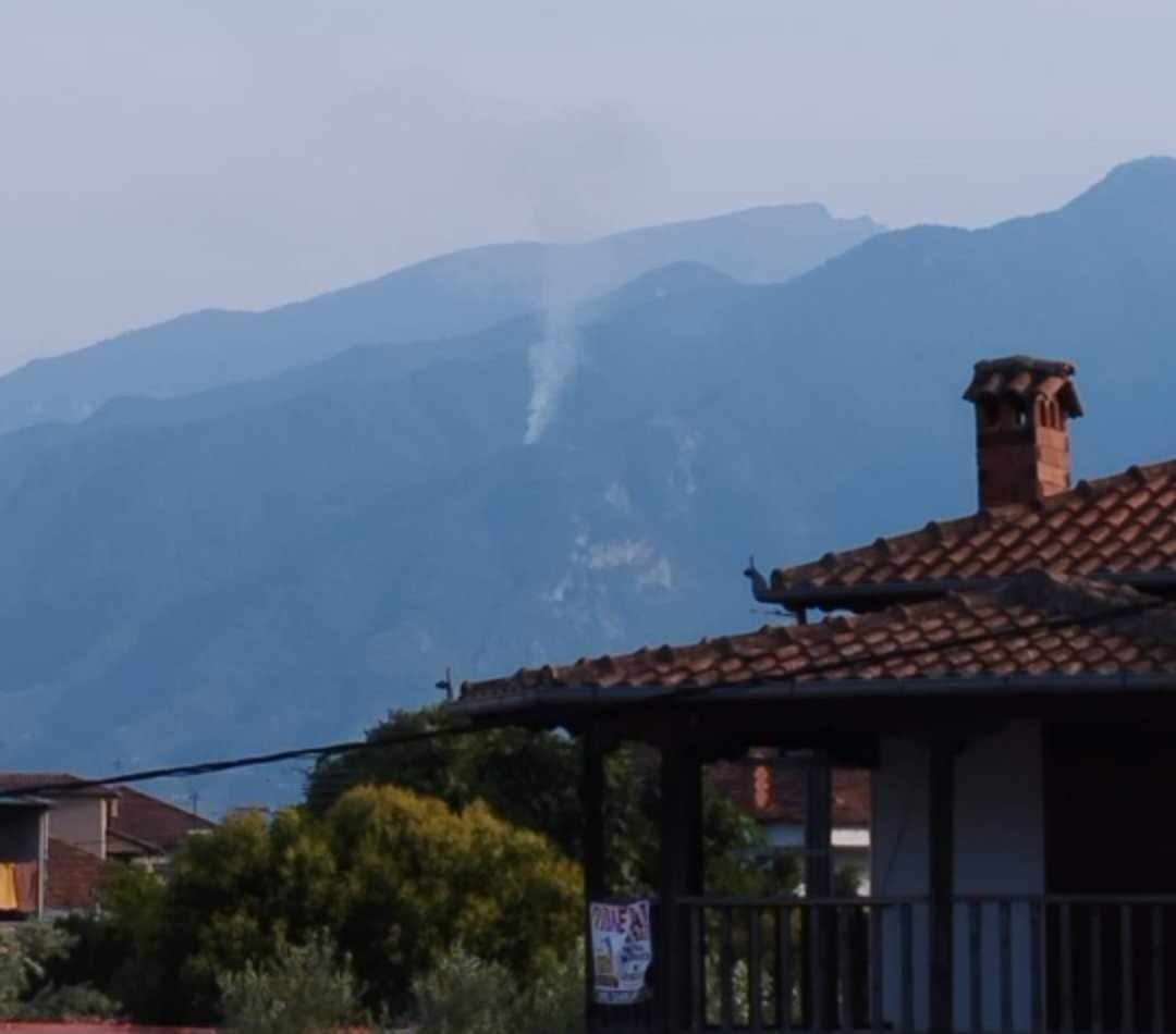 Πυρκαγιά σε δασική έκταση στην Κορομηλιά Ολύμπου