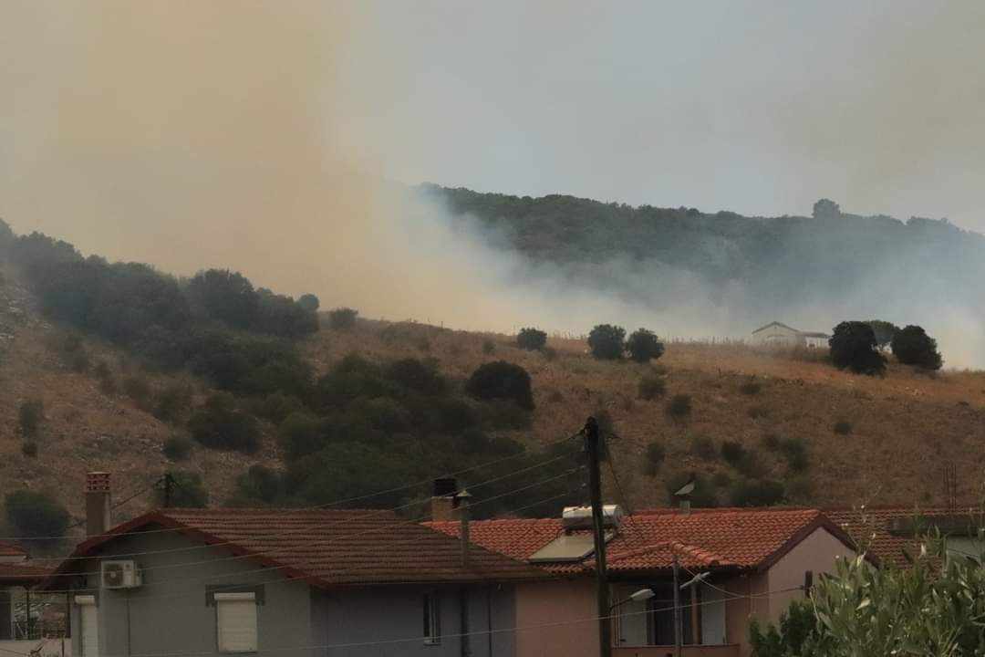 Πυρκαγιά σε δασική έκταση στο Καναλάκι Πάργας