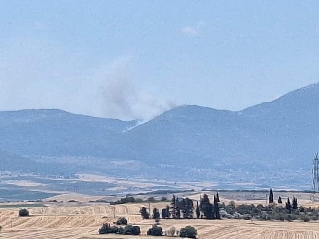 Πυρκαγιά σε δασική έκταση στις Ερυθρές Αττικής