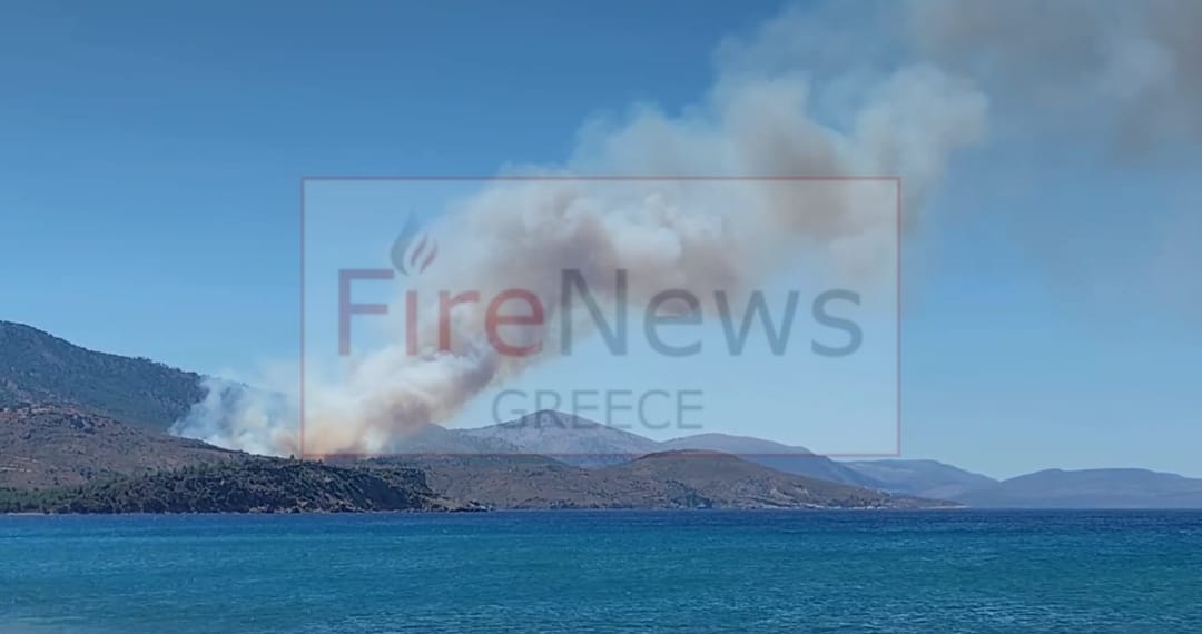 Πυρκαγιά σε δασική έκταση στην περιοχή Σιδηρούντα στο νησί της Χίου