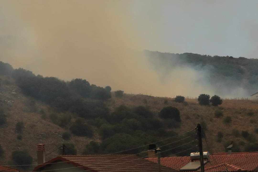 Πυρκαγιά σε δασική έκταση στο Καναλάκι Πάργας