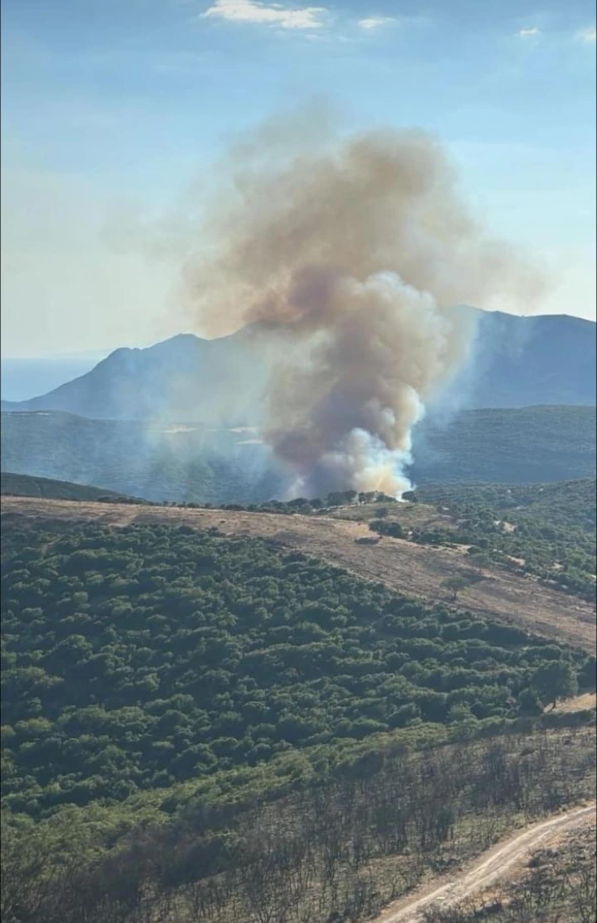 Πυρκαγιά σε δασική έκταση στην περιοχή Κόμαρος Αλεξανδρούπολης Έβρου