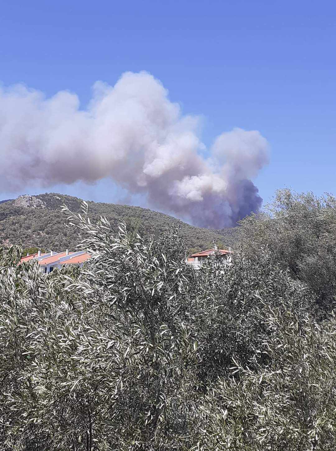 Πυρκαγιά σε δασική έκταση στον Άγιο Βλάση Κορινθίας