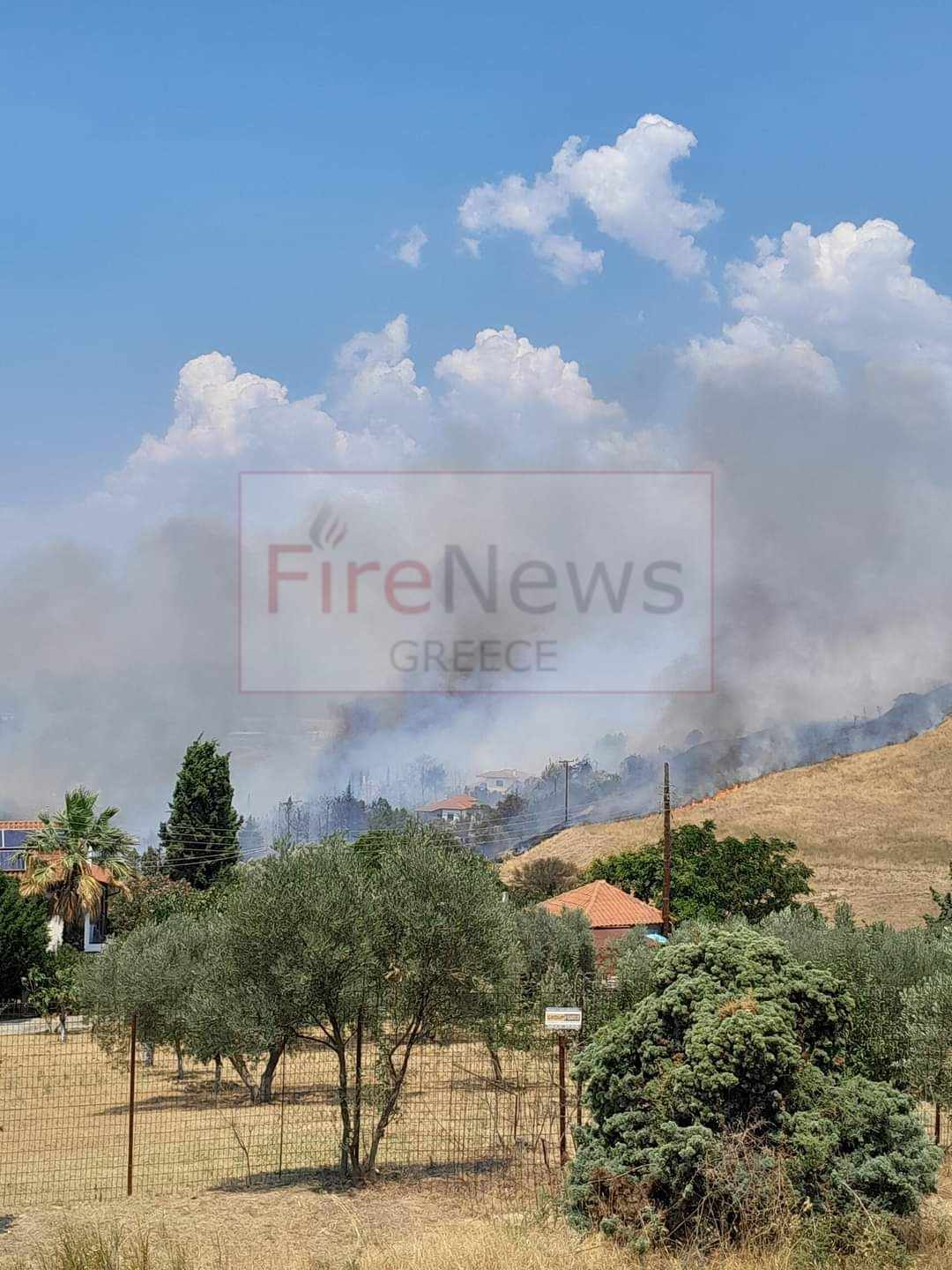 Πυρκαγιά σε χαμηλή βλάστηση στον Τρίλοφο Θεσσαλονίκης