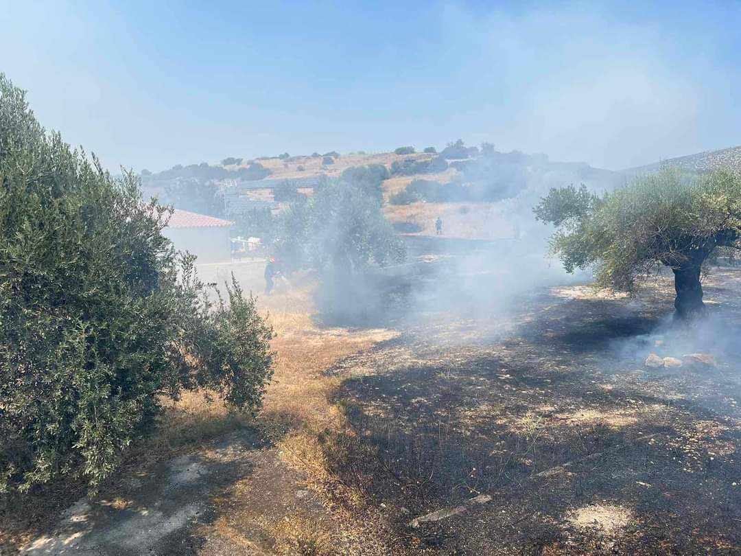 Πυρκαγιά σε χαμηλή βλάστηση στο Μαρκόπουλο Αττικής