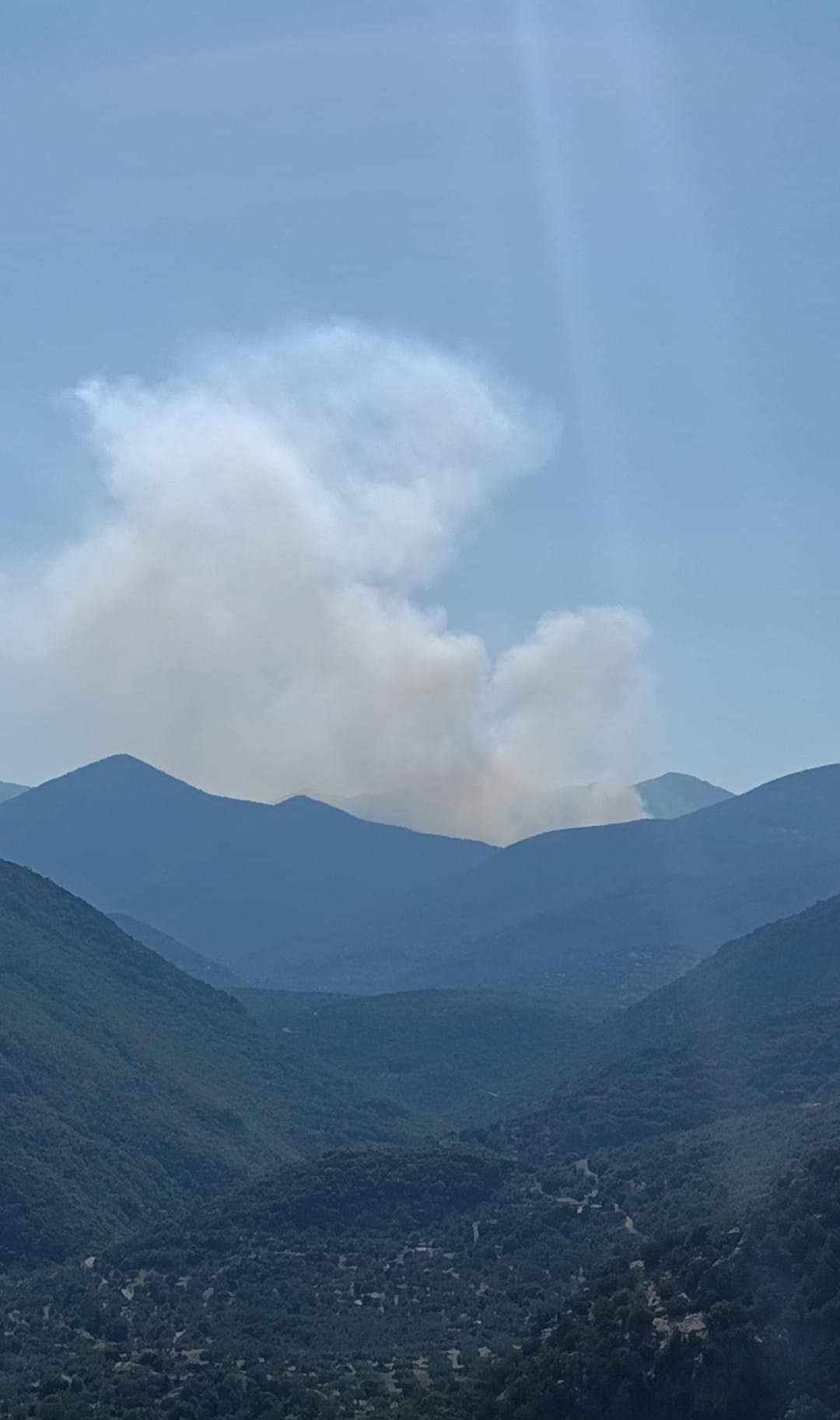 Πυρκαγιά σε χαμηλή βλάστηση στην Αλέα Αργολίδας