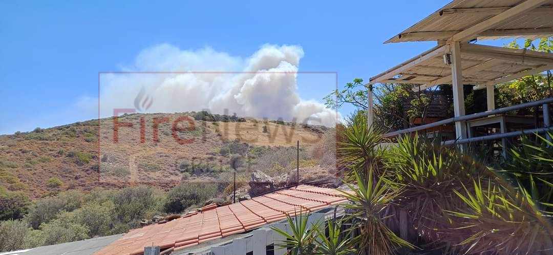 Πυρκαγιά σε δασική έκταση στις Πετριές Εύβοιας