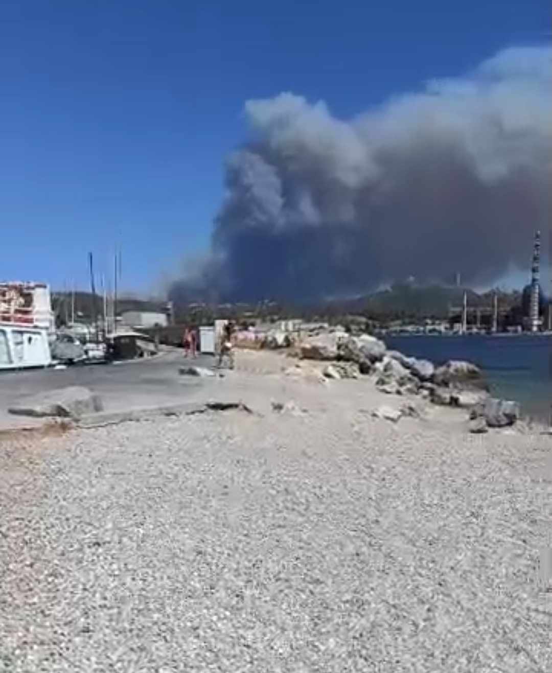 Πυρκαγιά σε δασική έκταση στις Πετριές Εύβοιας