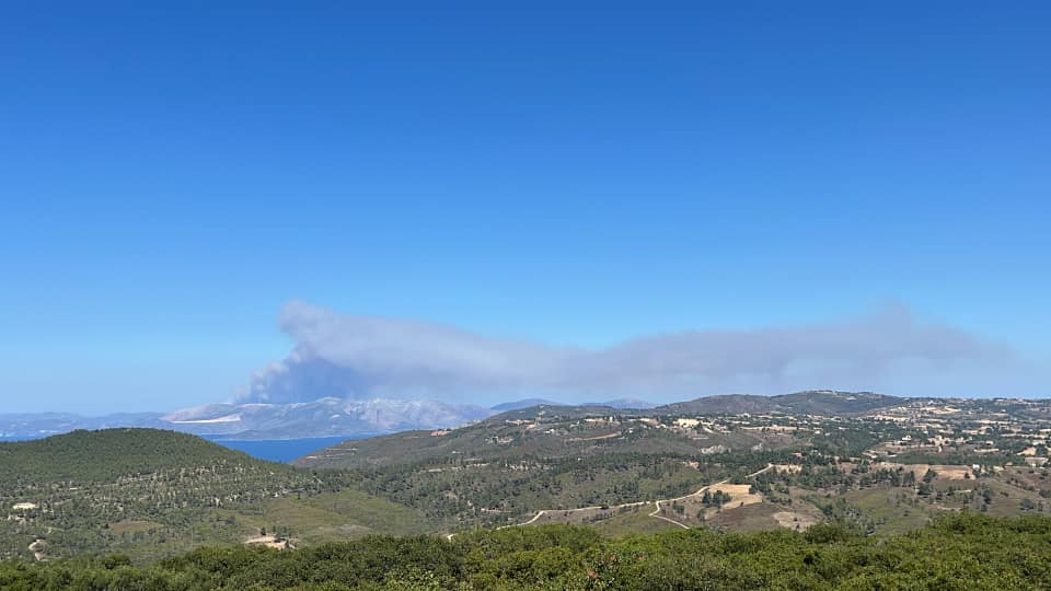 Πυρκαγιά σε δασική έκταση στις Πετριές Εύβοιας