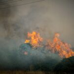 Πυρκαγιά σε χαμηλή βλάστηση επί της οδού Αγίας Μαρίνας στο Μαραθώνα