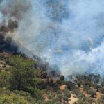 Πυρκαγιά σε δασική έκταση στην περιοχή Αβγό Ιωαννίνων