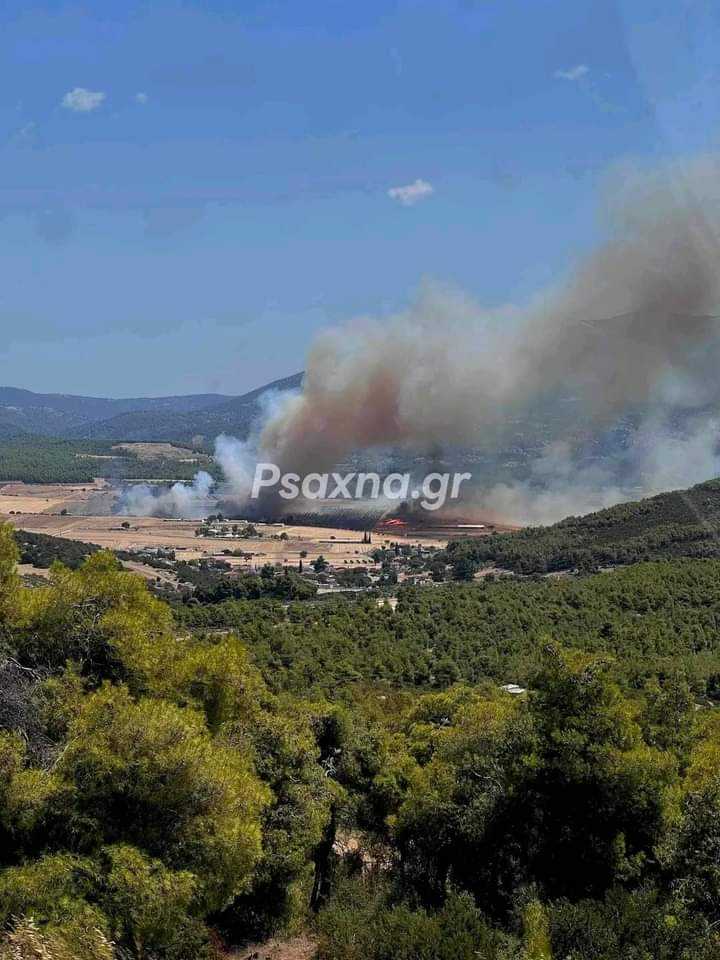 Πυρκαγιά σε αγροτοδασική έκταση στην περιοχή Πισσώνας Ευβοίας