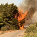 Πυρκαγιά σε χαμηλή βλάστηση στον Κάνεβο Ρεθύμνου Κρήτης