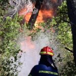 Πυροσβεστική: 52 αγροτοδασικές πυρκαγιές το τελευταίο 24ωρο