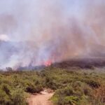 Πυρκαγιά σε δασική έκταση στην περιοχή Καλύβια Εύβοιας