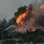 Πυρκαγιά σε δασική έκταση στη Δάφνη Βοιωτίας