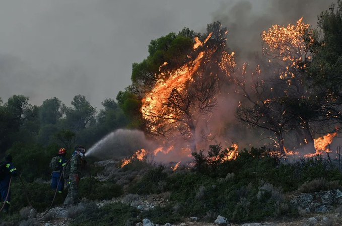 Πυρκαγιά σε δασική έκταση στη Δάφνη Βοιωτίας