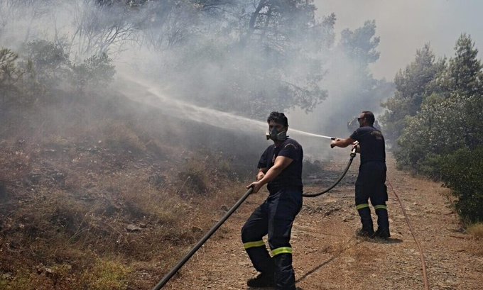 Πυρκαγιά σε δασική έκταση στην περιοχή Κουλούρα Κέρκυρας