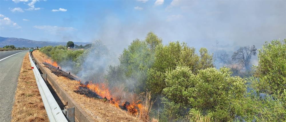 Πυρκαγιά σε χαμηλή βλάστηση στην περιοχή Οχθιά Αιτωλοακαρνανίας