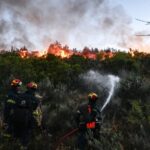 Πυρκαγιά σε χαμηλή βλάστηση στην Ασωπία Βοιωτίας