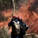 Πυροσβεστική: 42 αγροτοδασικές πυρκαγιές το τελευταίο 24ωρο