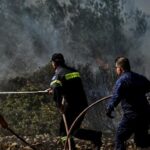 Πυρκαγιά σε χαμηλή βλάστηση στην περιοχή Αρσάκειο Ροδόπης