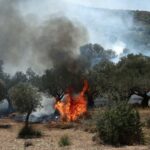 Πυρκαγιά σε αγροτοδασική έκταση στην περιοχή Συκέες Καρδίτσας