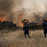 Πυρκαγιά σε δασική έκταση στην περιοχή Ρούσσα Έβρου