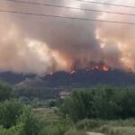 Πυρκαγιά σε χαμηλή βλάστηση στην Αλέα Αργολίδας