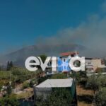 Πυρκαγιά σε αγροτοδασική έκταση στην Παναγιά Ευβοία