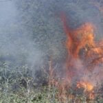 Πυρκαγιά σε αγροτοδασική έκταση στη Μεταμόρφωση Μεσσηνίας