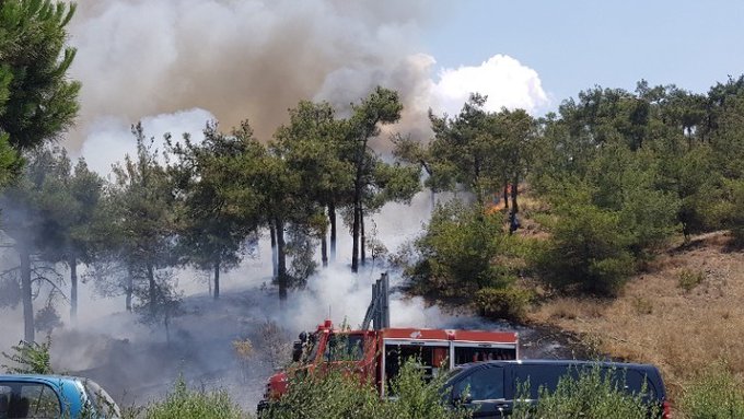 Πυρκαγιά σε χαμηλή βλάστηση στην περιοχή Οχθιά Αιτωλοακαρνανίας